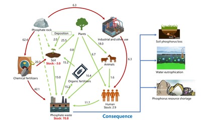 微藻廢水除磷的反應(yīng)機(jī)理與生物質(zhì)磷應(yīng)用研究綜述